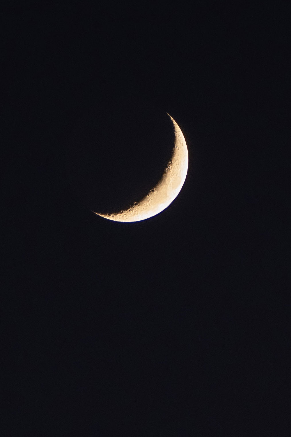 cold night but the moon was close