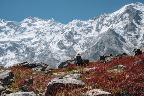nanga-parbat-base-camp-trek-pakistan-5 nanga-parbat-base-camp-trek-pakistan-5