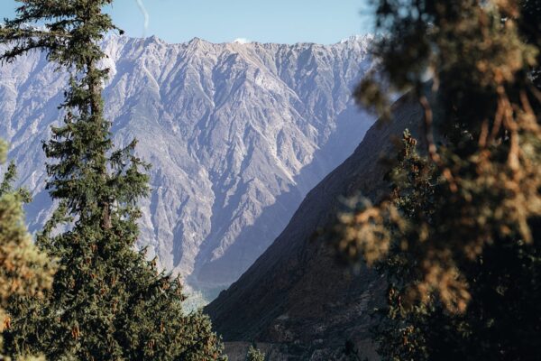 rakaposhi-base-camp-trek-pakistan-3 rakaposhi-base-camp-trek-pakistan-3