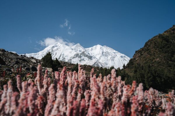 rakaposhi-base-camp-trek-pakistan-5 rakaposhi-base-camp-trek-pakistan-5