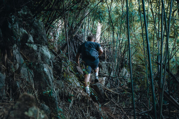 jungle hike muang ngoy laos
