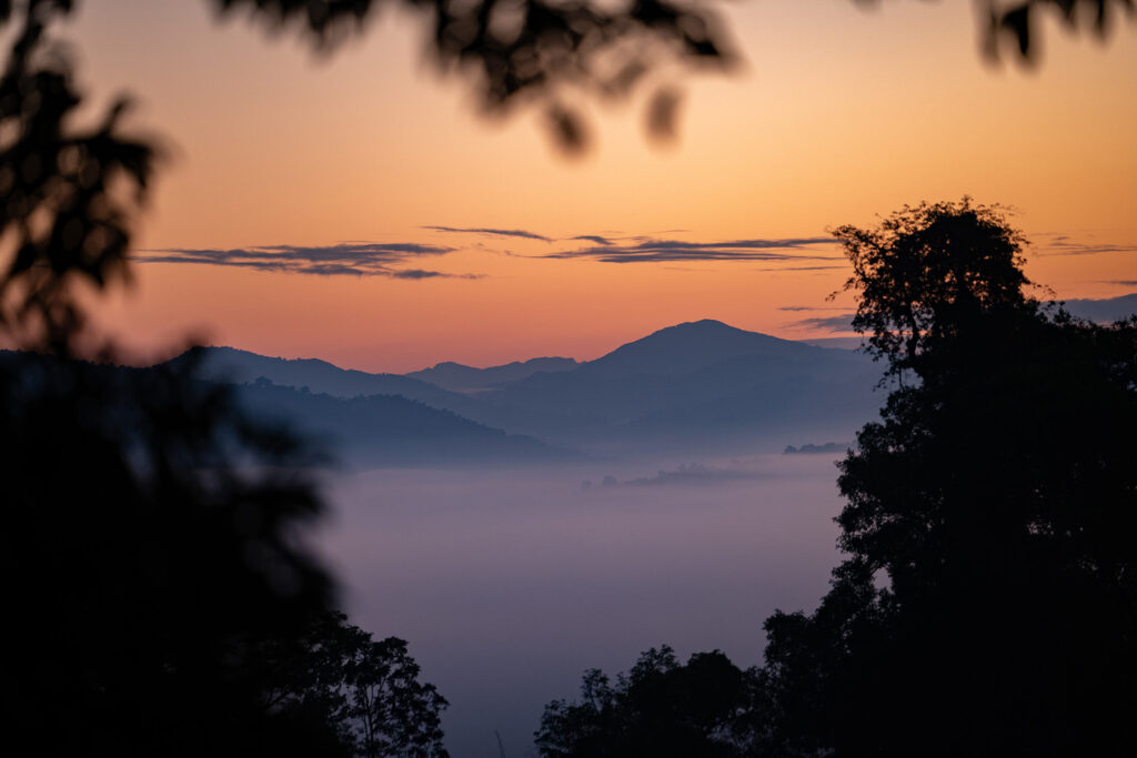 sunrise view over the jungle of nam khan national park in laos