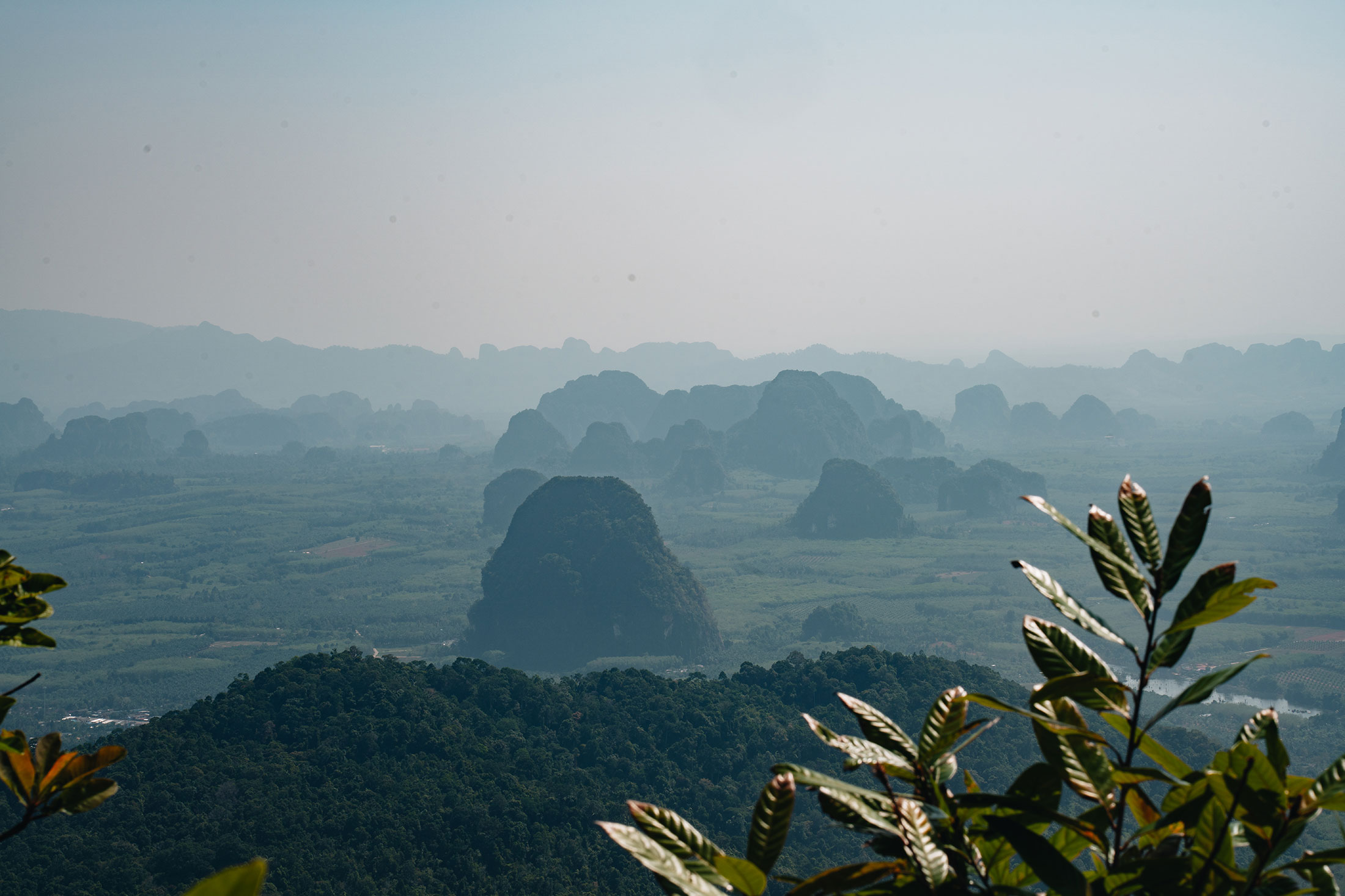 views almost at the top