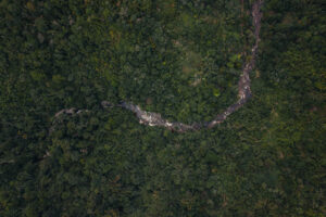 view from above of the jungle in kuala mu