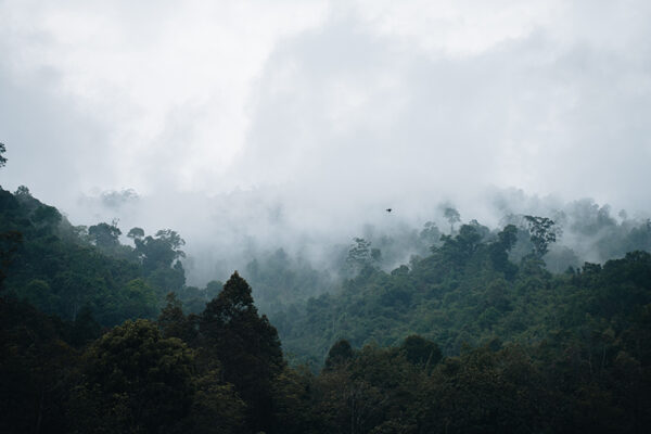 overlanding-malaysia-landrover-defender-offroading-4 overlanding-malaysia-landrover-defender-offroading-4